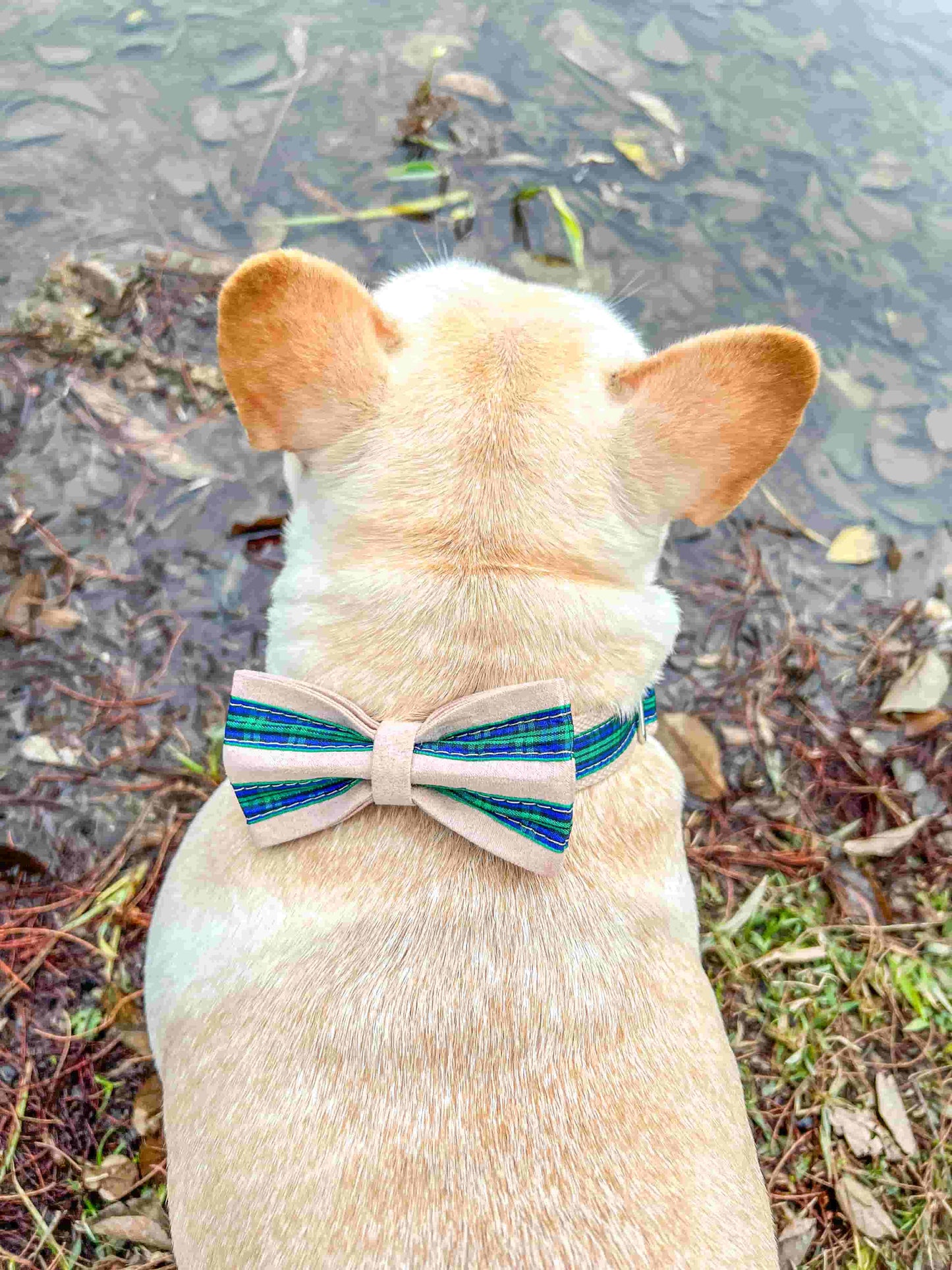 Dog Green Plaid Collar Leash Set - Frenchiely