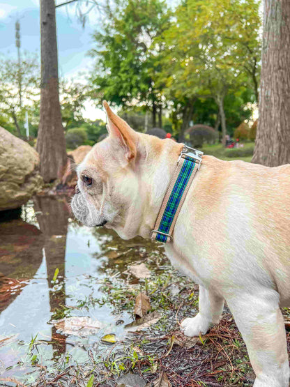 Dog Green Plaid Collar - Frenchiely