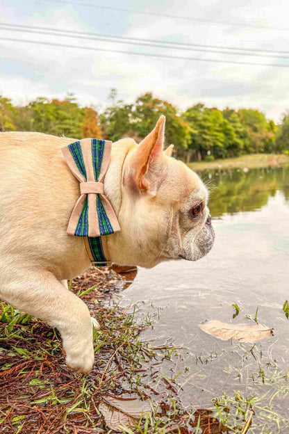 Dog Green Plaid Collar - Frenchiely