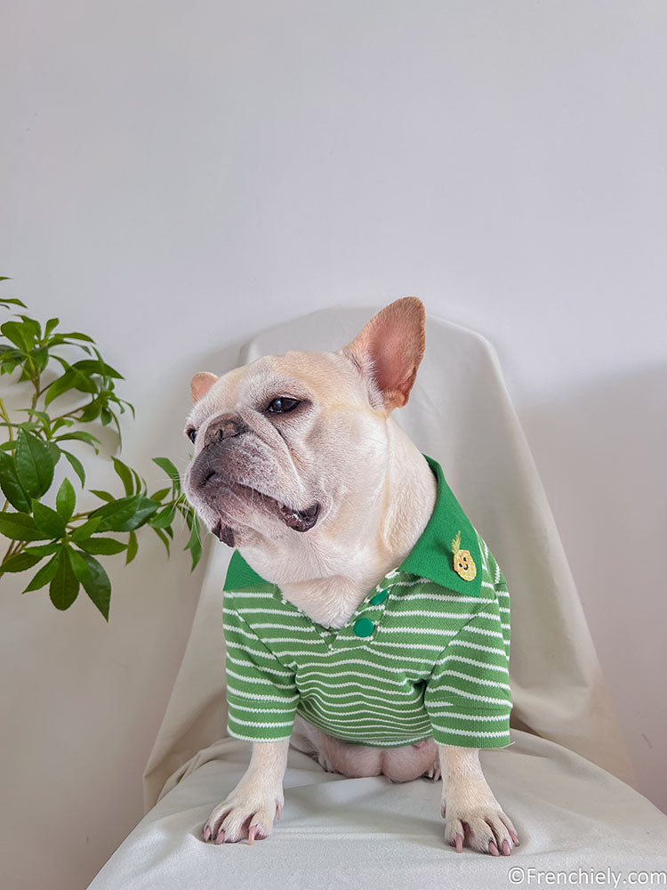 dog green striped polo shirt sweater for small medium dogs 