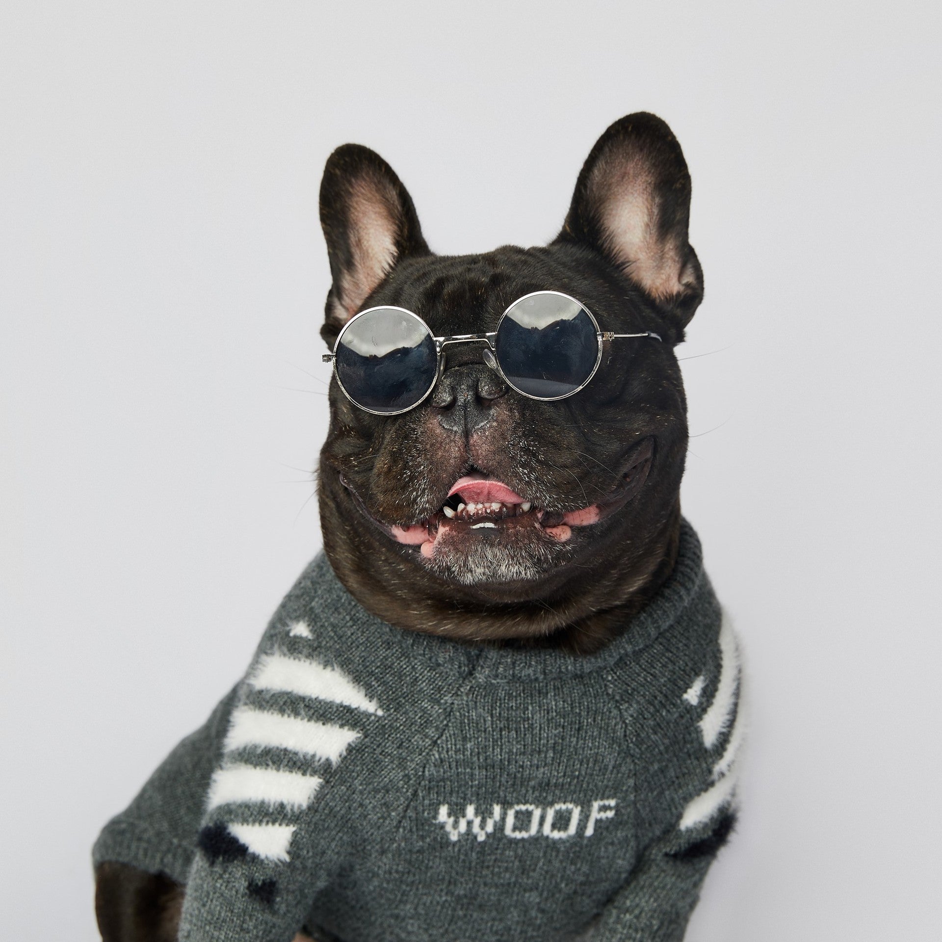 Dog Grey Woof Sweater - Frenchiely
