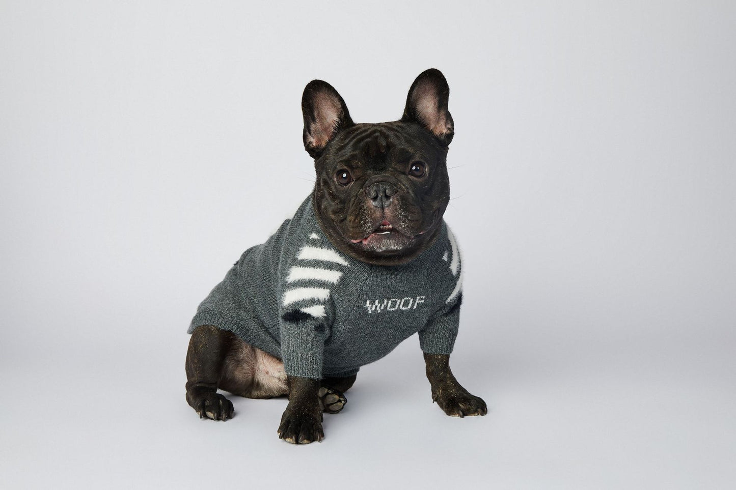 Dog Grey Woof Sweater - Frenchiely