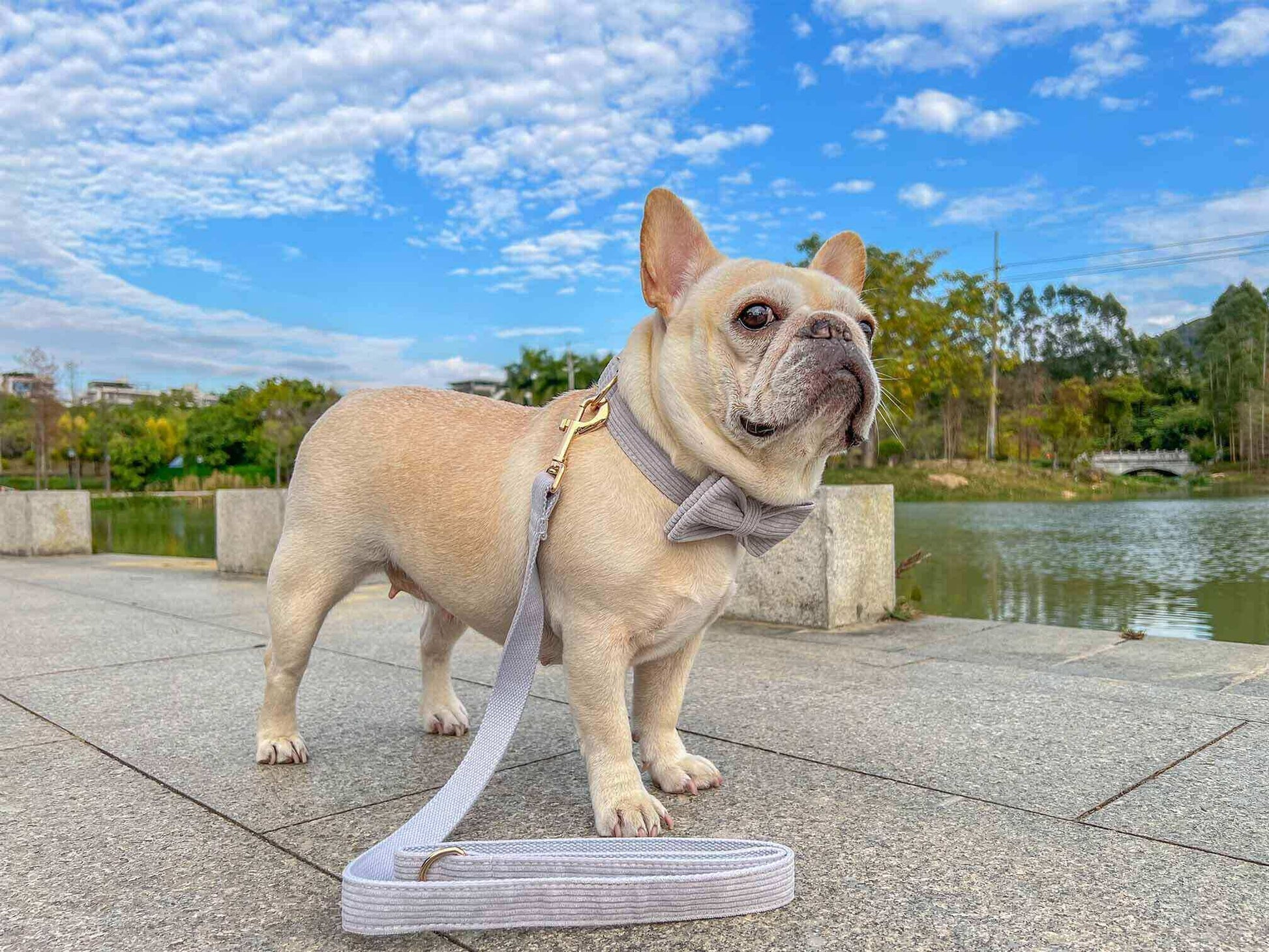 Dog Grey Corduroy Leash - Frenchiely