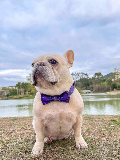 Dog Halloween Collar Set - Frenchiely