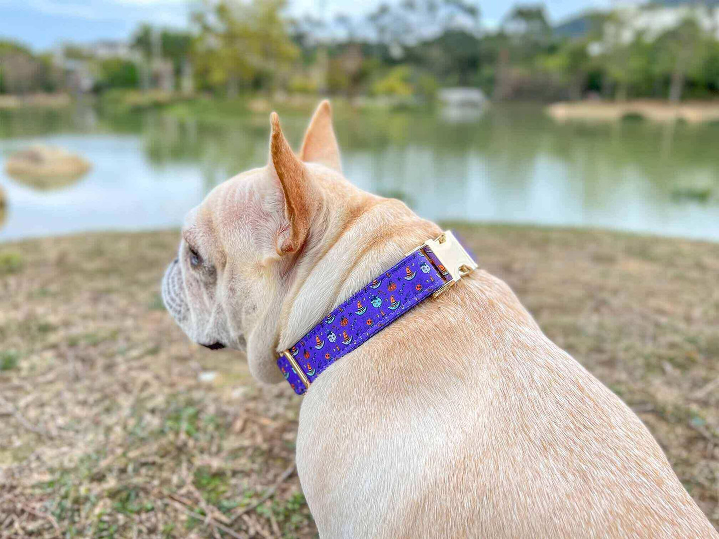 Dog Halloween Collar - Frenchiely