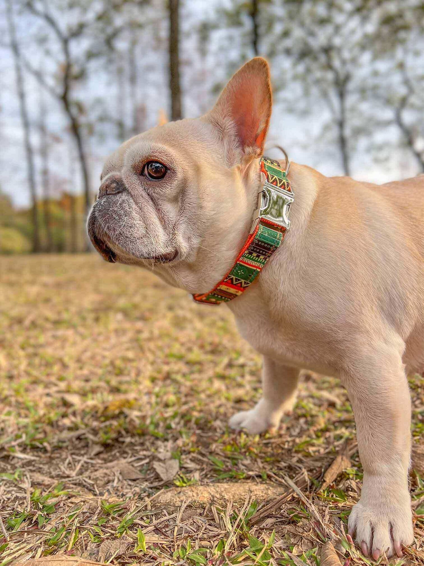 Dog Collar Leash Set-Maya - Frenchiely