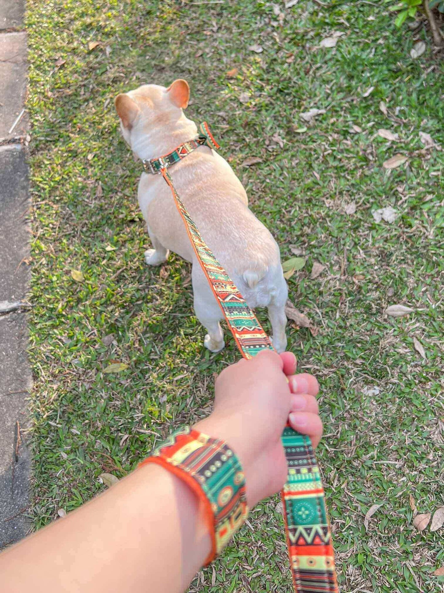 Dog Collar Leash Set-Maya - Frenchiely