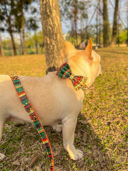 Dog Collar Leash Set-Maya - Frenchiely