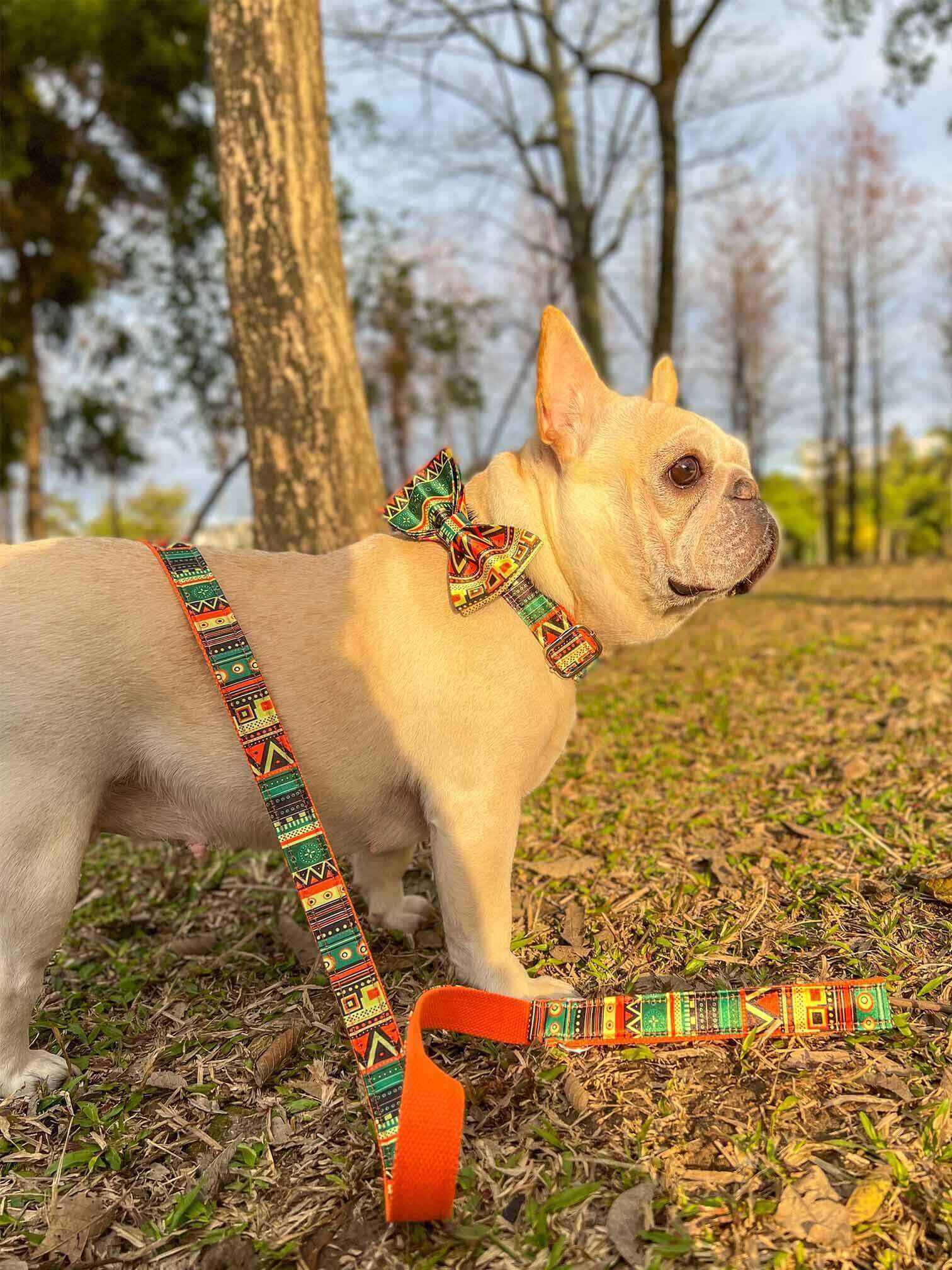 Dog Collar Leash Set-Maya - Frenchiely