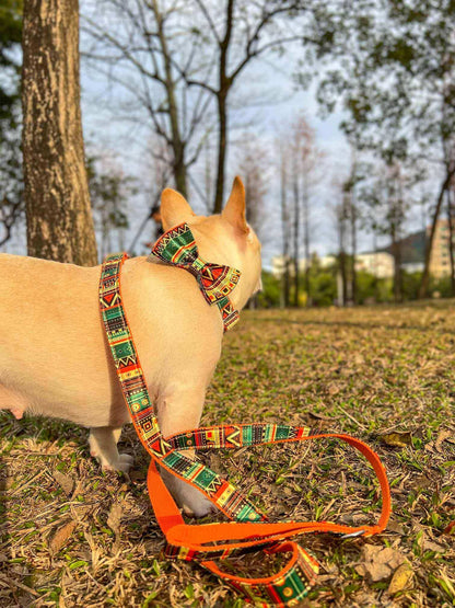 Dog Collar Leash Set-Maya - Frenchiely