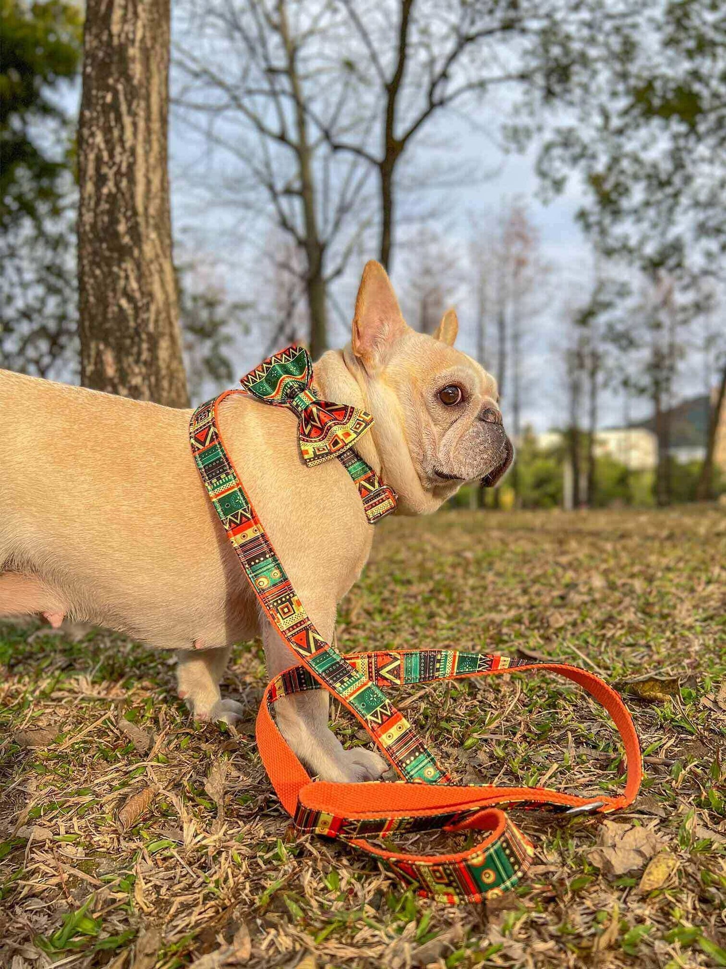 Dog Collar Leash Set-Maya - Frenchiely