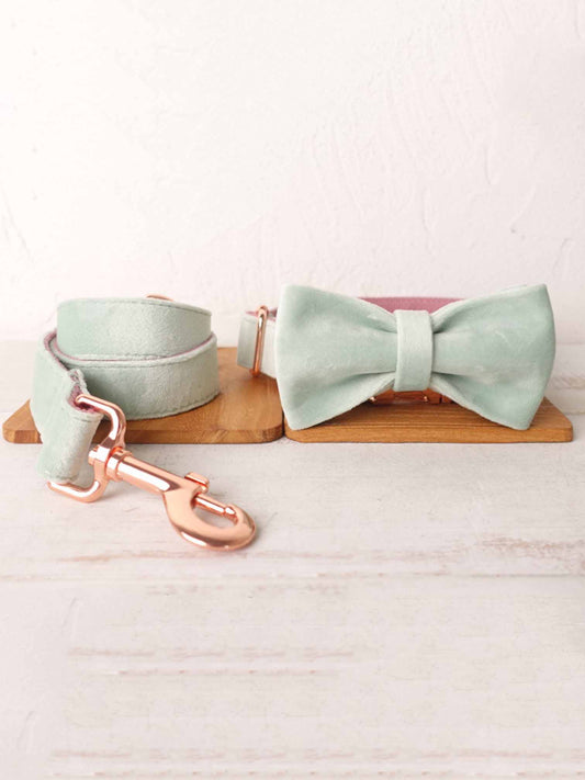 Dog Mint Green Leash Set - Frenchiely