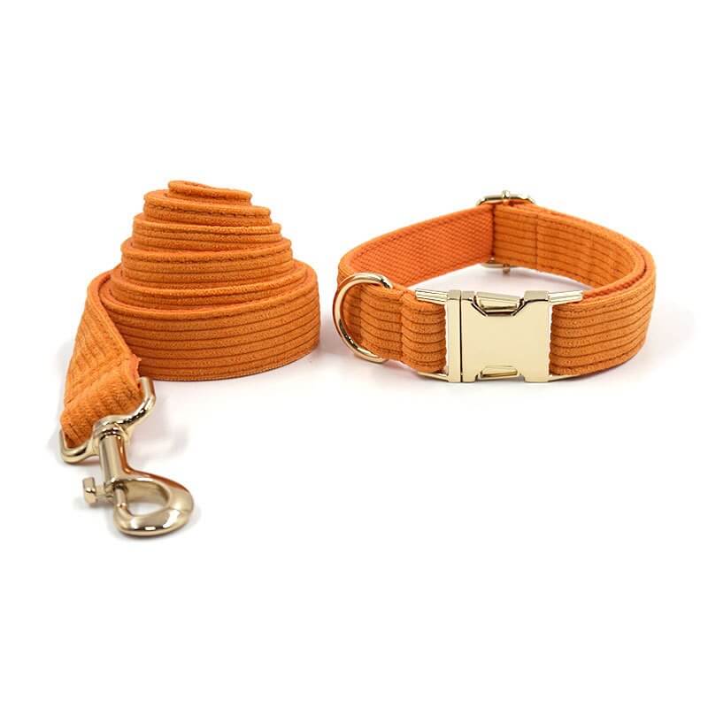 Dog Orange Collar Leash Set - Frenchiely