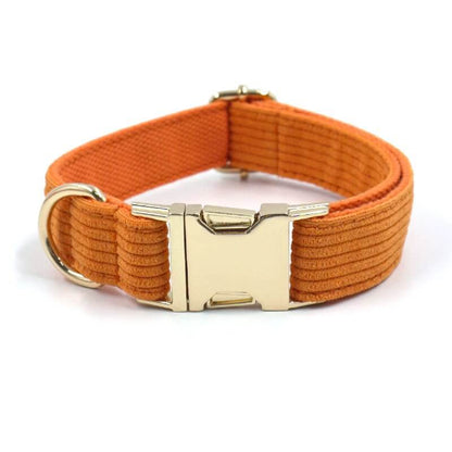 Dog Orange Collar Leash Set - Frenchiely