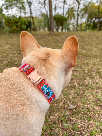 Dog Orange Flower Collar - Frenchiely