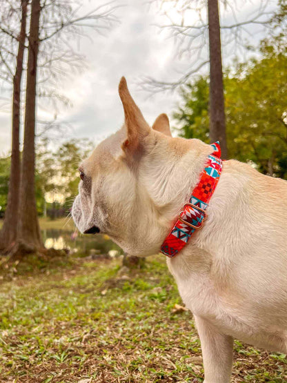 Dog Orange Flower Collar - Frenchiely