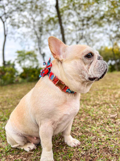 Dog Orange Flower Collar - Frenchiely