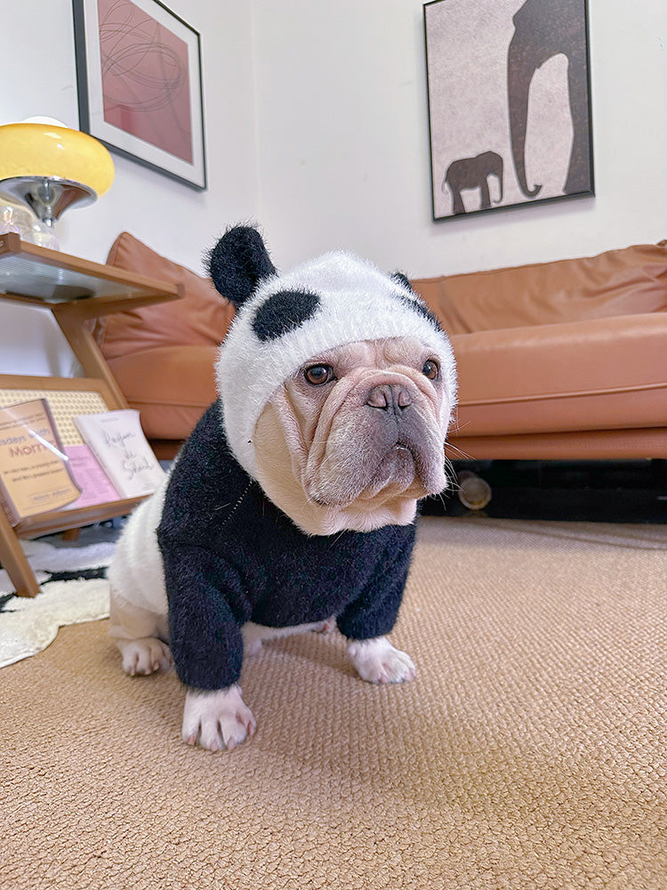 Dog Panda Sweater Frenchiely