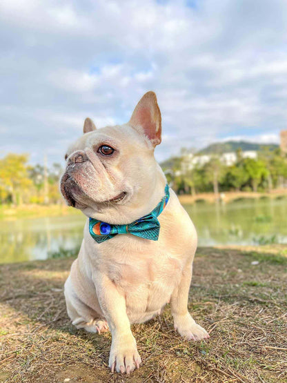 Dog Peacock Leash Set - Frenchiely