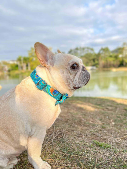 Dog Peacock Leash Set - Frenchiely