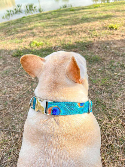 Dog Peacock Leash Set - Frenchiely