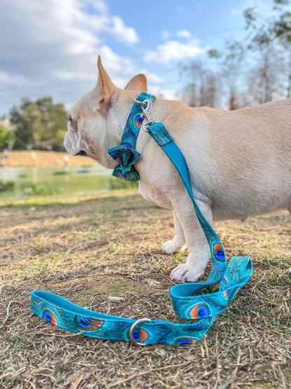 Dog Peacock Leash Set - Frenchiely