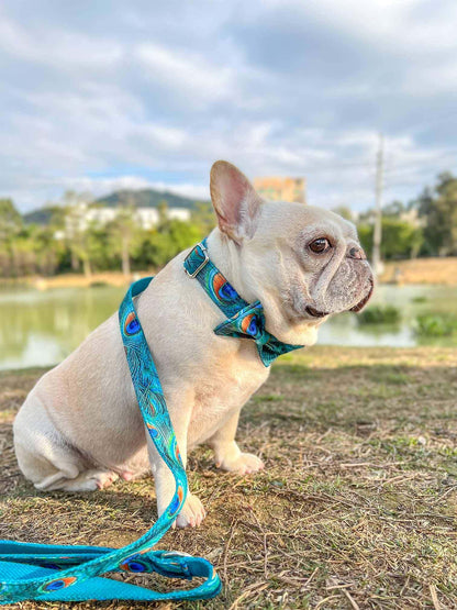 Dog Peacock Leash Set - Frenchiely