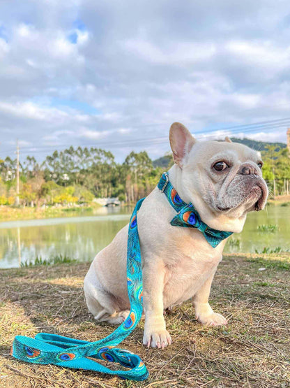 Dog Peacock Leash Set - Frenchiely