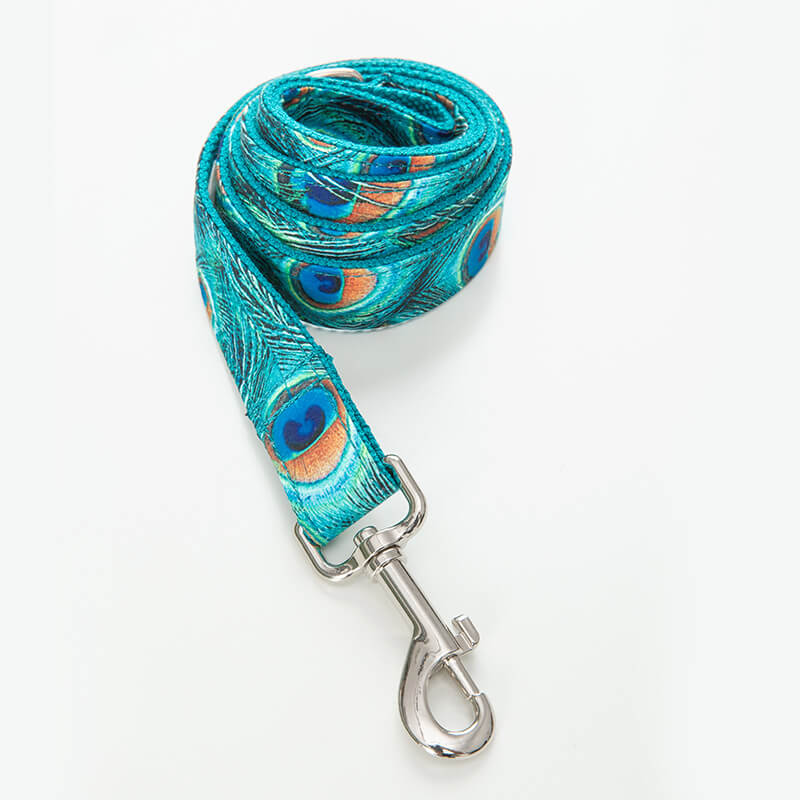 Dog Peacock Leash Set - Frenchiely