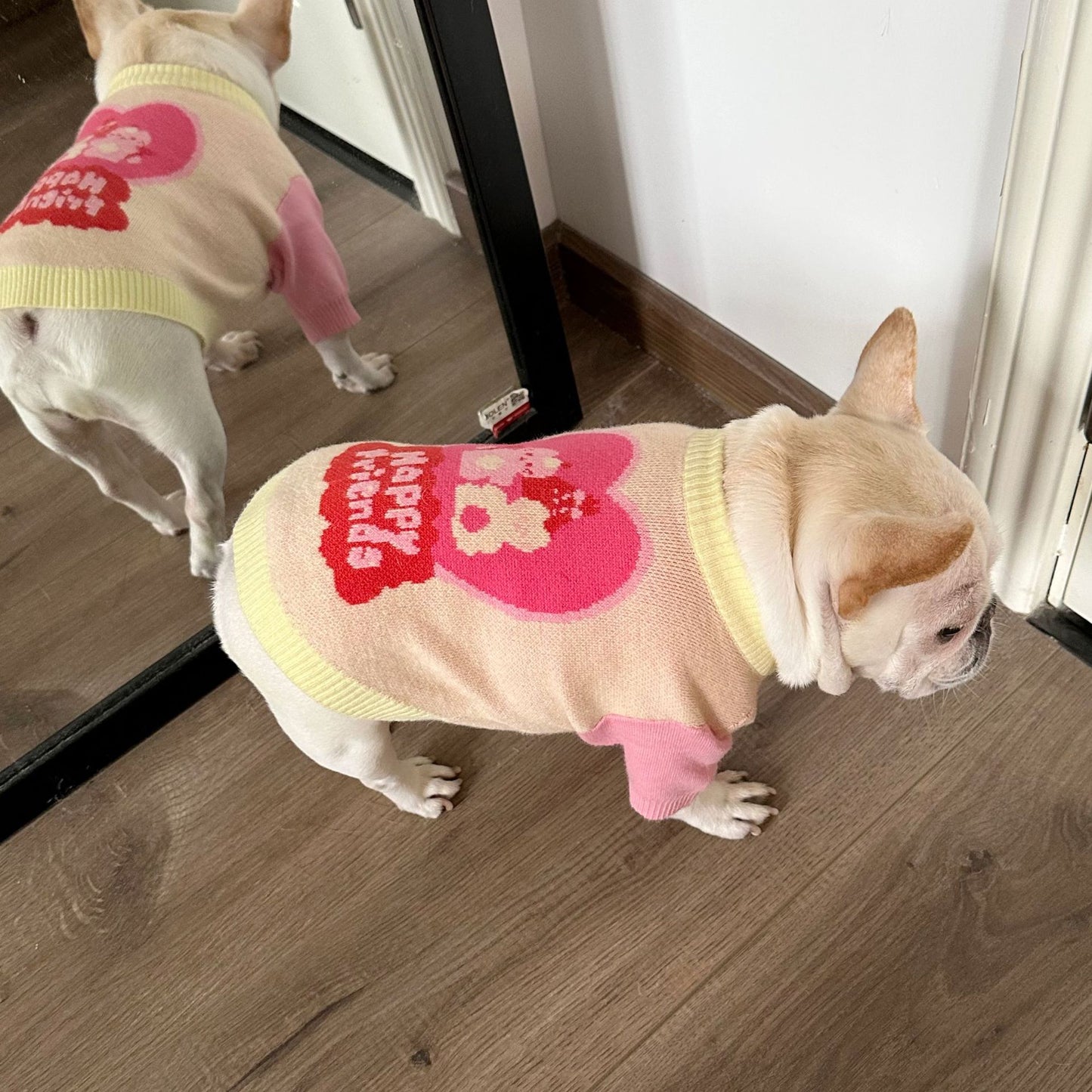 Female Dog Pink Sweater-Happy Friend - Frenchiely