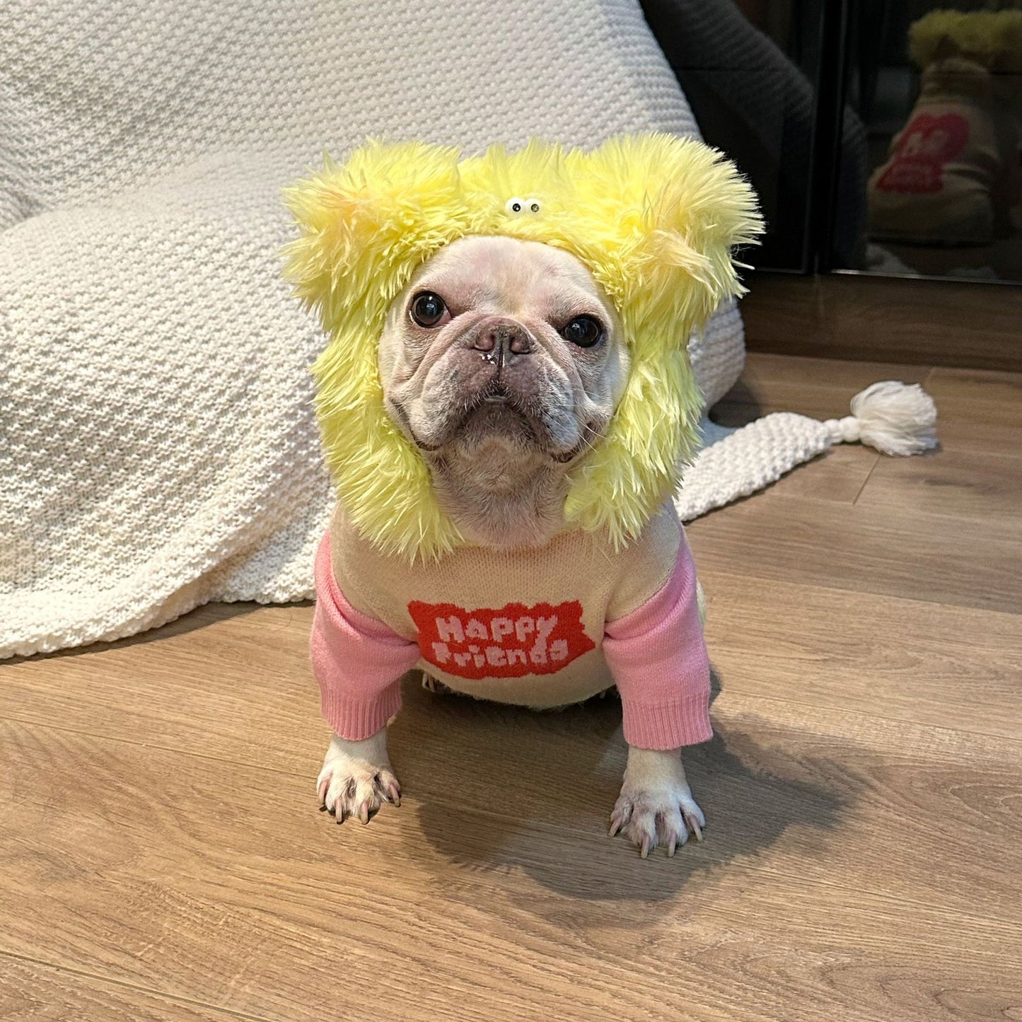 Female Dog Pink Sweater-Happy Friend - Frenchiely