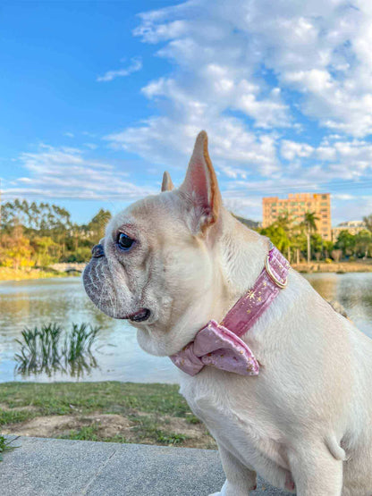 Dog Pink Star Collar - Frenchiely