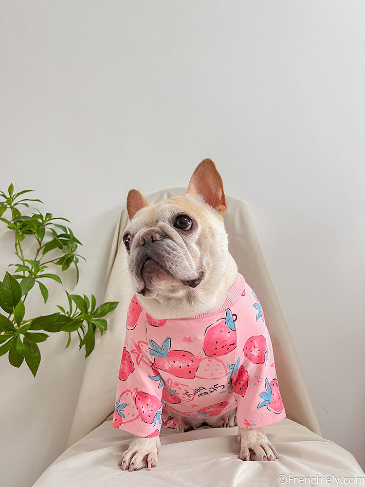 Dog footie online pajamas