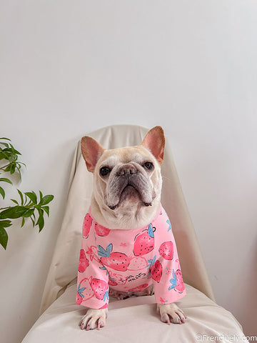 Dog Pajamas & Onesie for French Bulldogs | 100% Happy Dogs Guaranteed ...