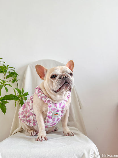 dog pink watermelon dress for small medium dogs 