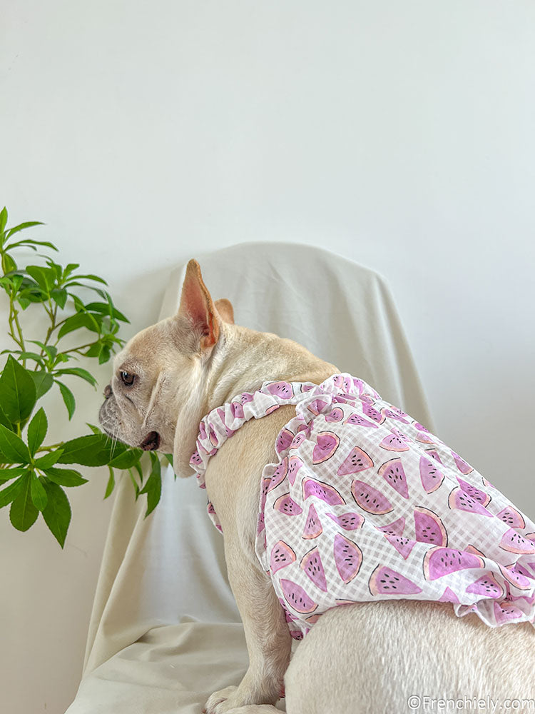 Dog Watermelon Dress Frenchiely