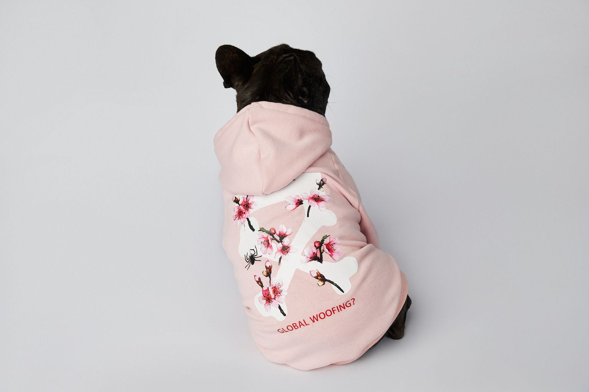 Off white cherry blossom hoodie pink sale