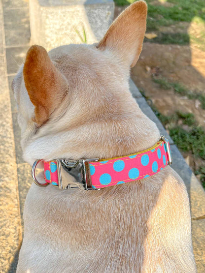 Dog Colored Polka Collar - Frenchiely