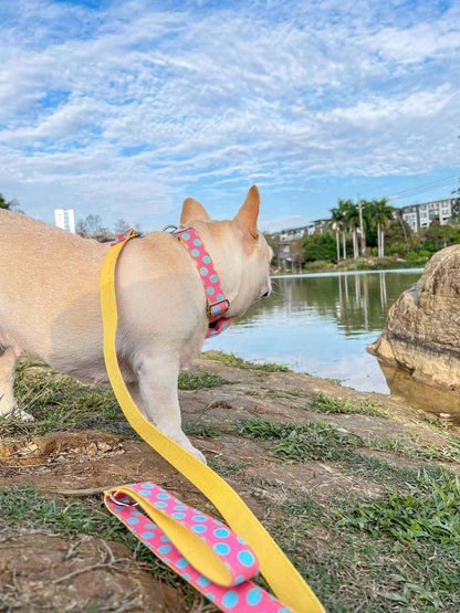 Dog Polka Collar Leash Set - Frenchiely