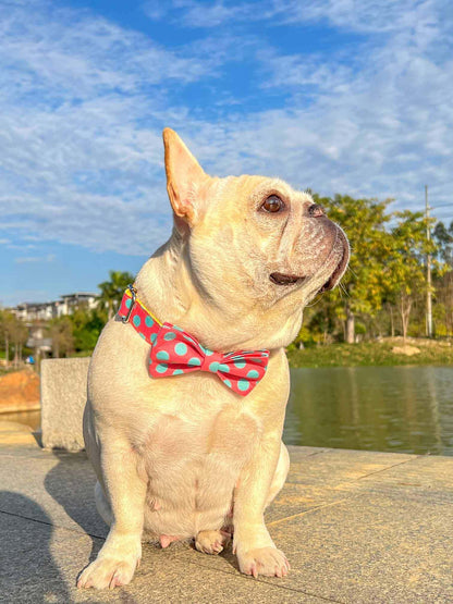 Dog Colored Polka Collar - Frenchiely