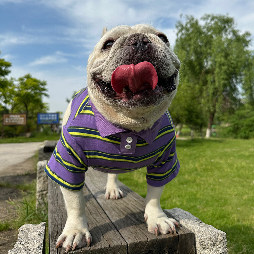 Dog Striped Polo Shirt for small medium dogs by Frenchiely