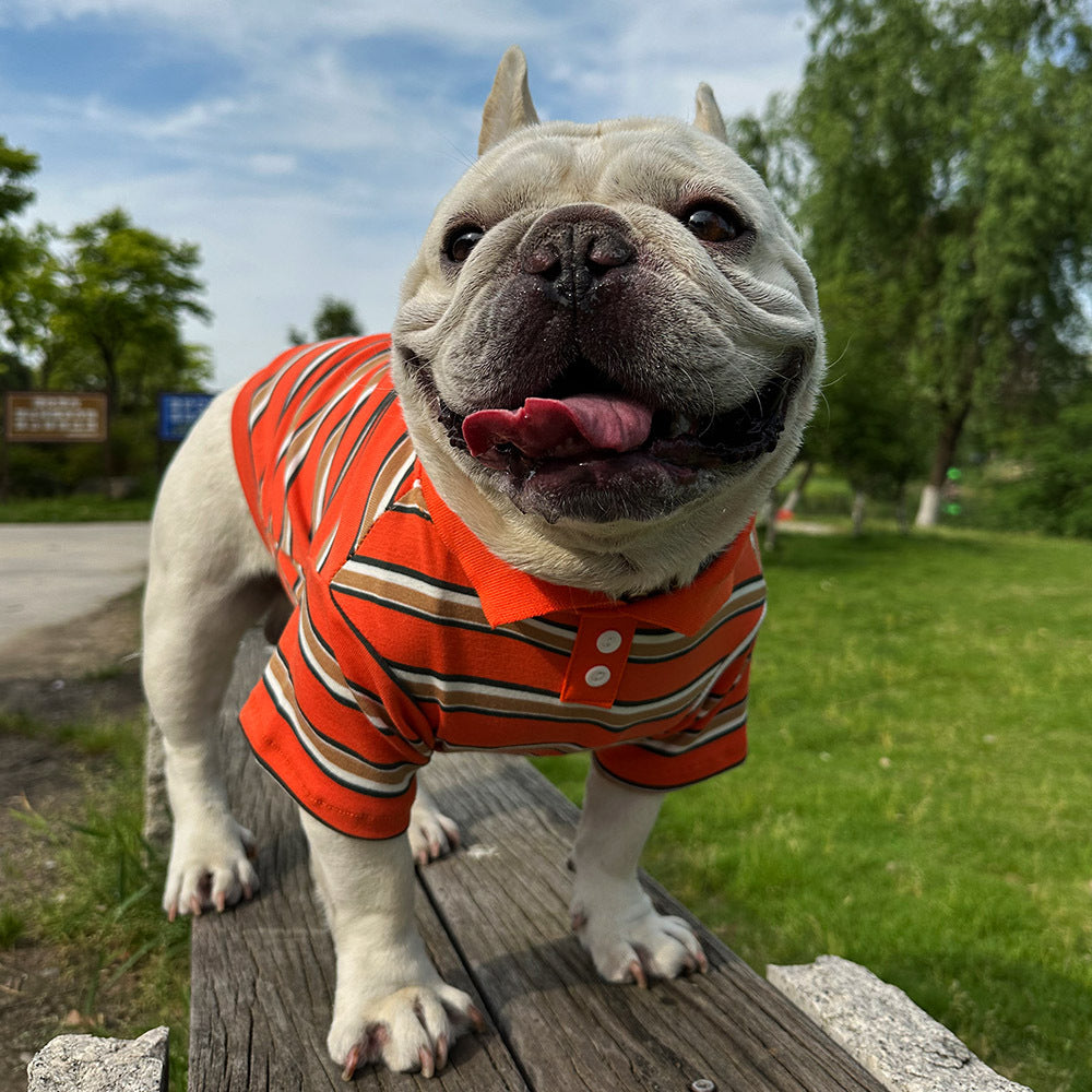 Dog Striped Polo Shirt for small medium dogs by Frenchiely