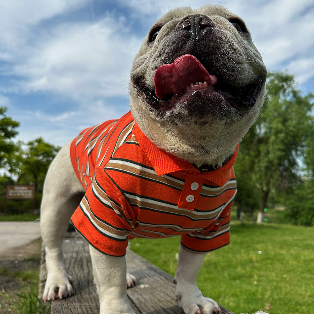 Dog Striped Polo Shirt for small medium dogs by Frenchiely