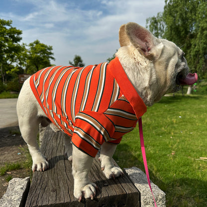 Dog Striped Polo Shirt for small medium dogs by Frenchiely