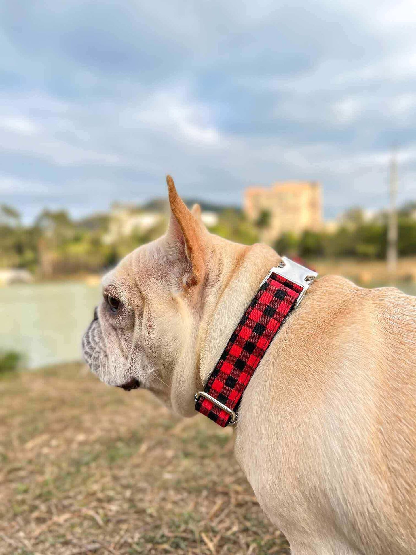 Dog Red Buffalo Leash Set - Frenchiely