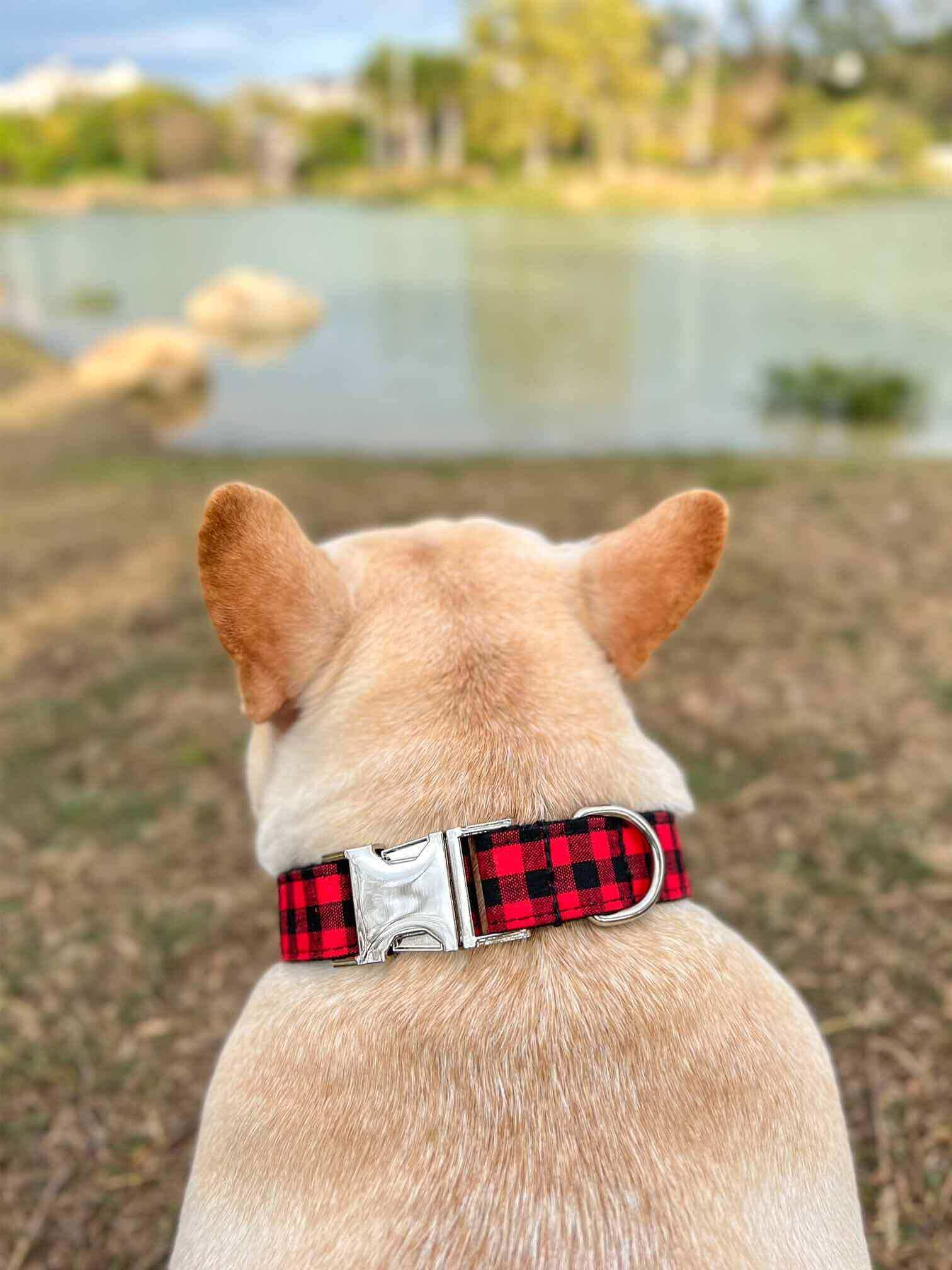 Dog Red Buffalo Leash Set - Frenchiely