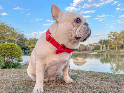 Dog Christmas Collar Leash Set - Frenchiely