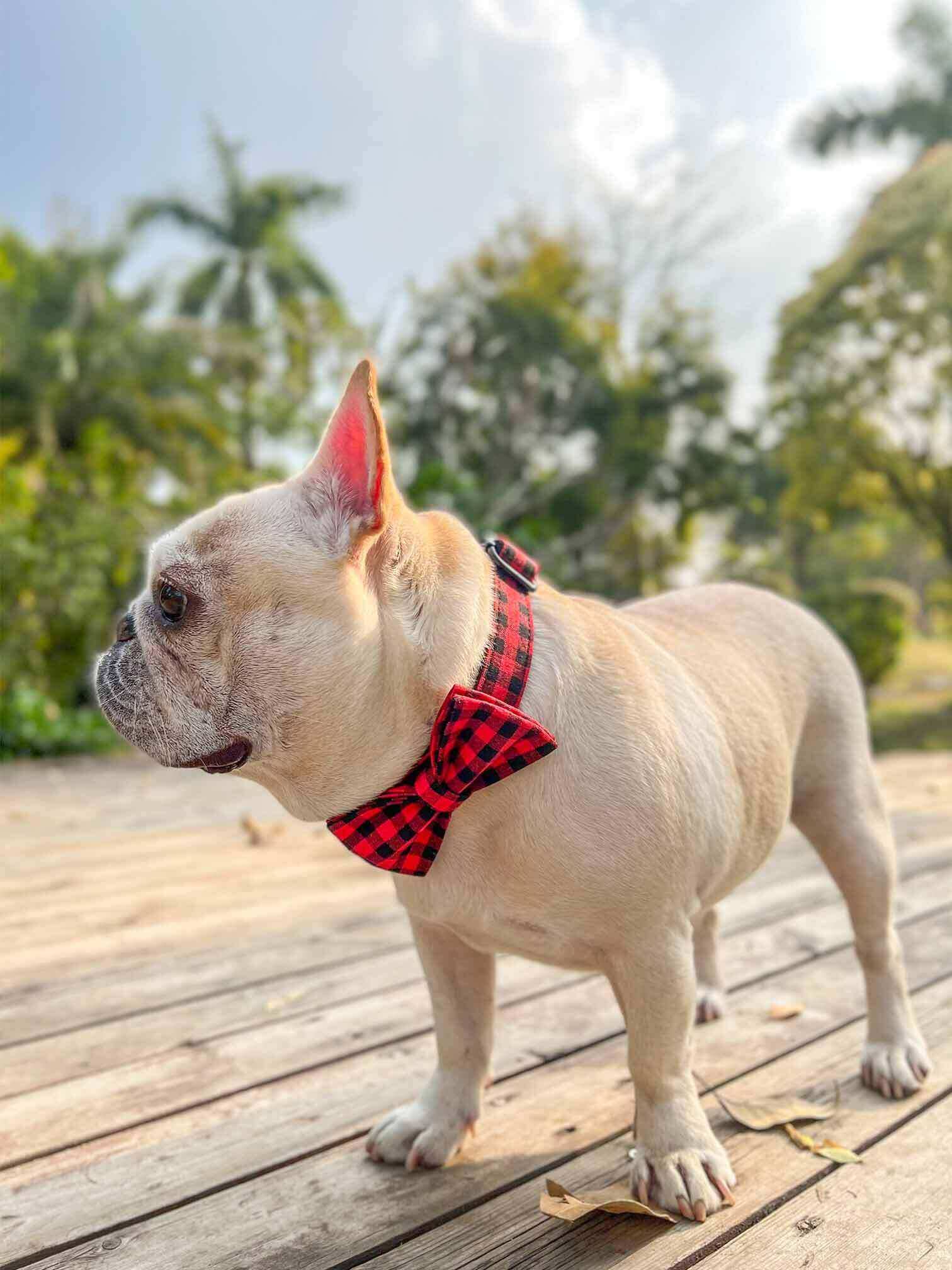 Dog Red Buffalo Leash Set - Frenchiely