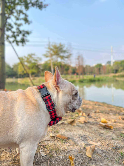 Dog Red Buffalo Leash Set - Frenchiely