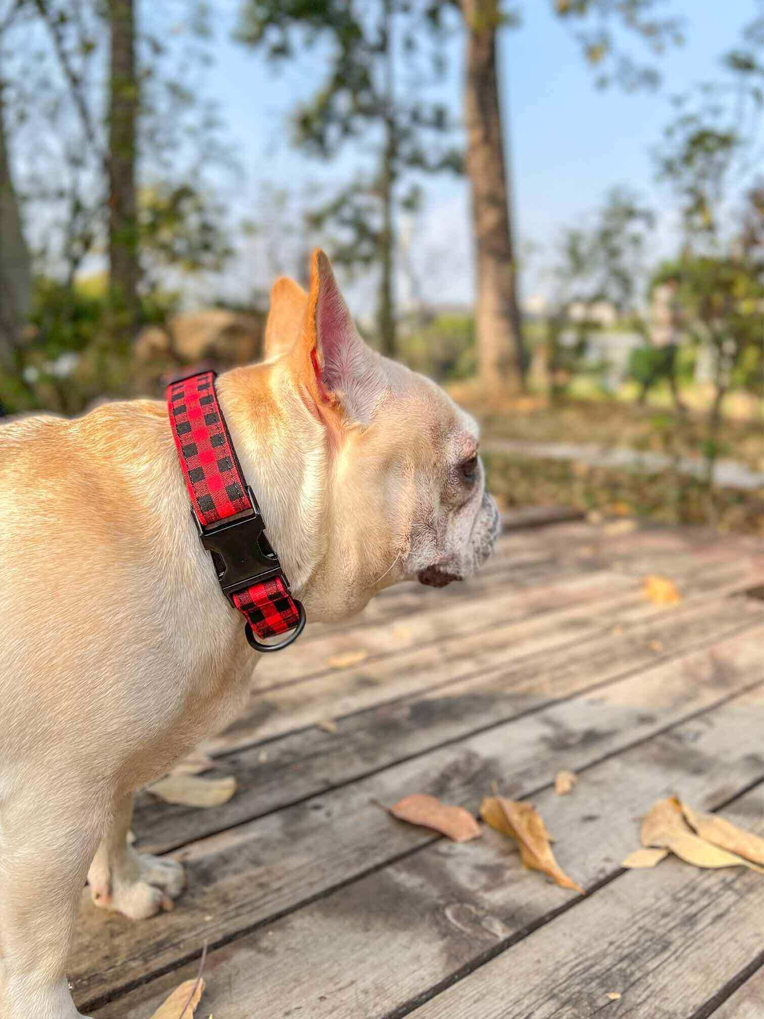 Dog Red Buffalo Leash Set - Frenchiely